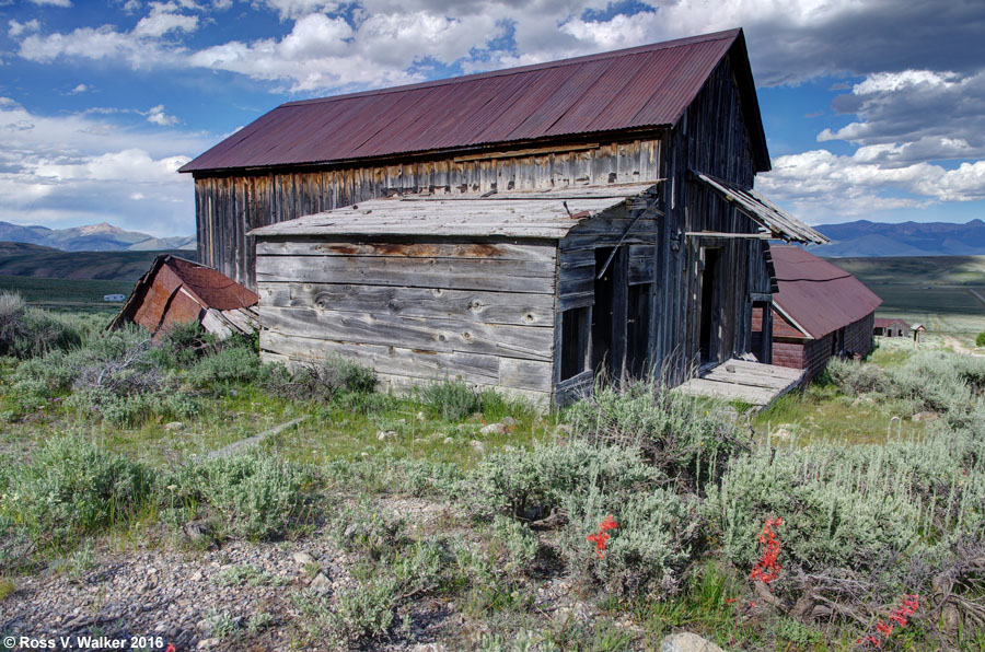 Barn and skyrocket wildflowers along the main street uphill through Gilmore, Idaho.