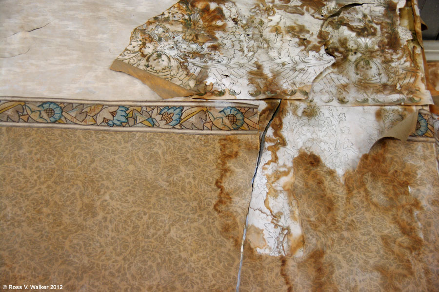 Peeling wallpaper in the Tom Miller house, Bodie, California