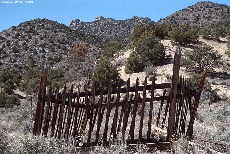 Ghost town grave, Tybo, Nevada