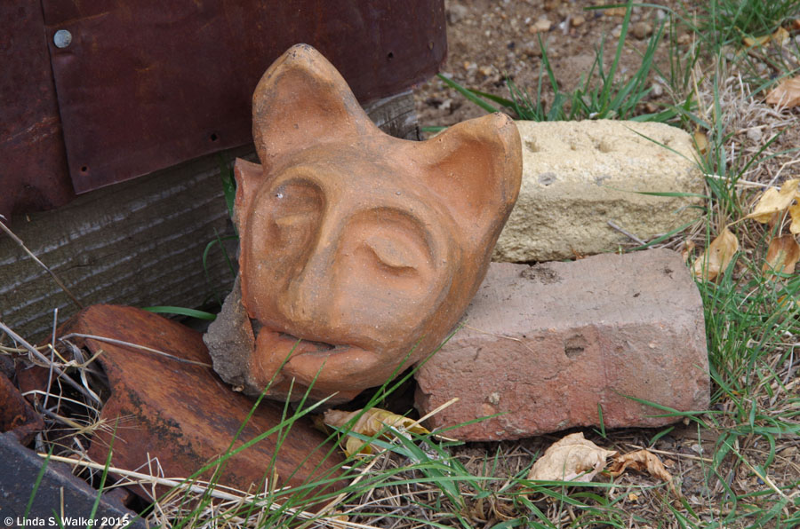 A pottery cat found in some rubble at Tuscarora, Nevada