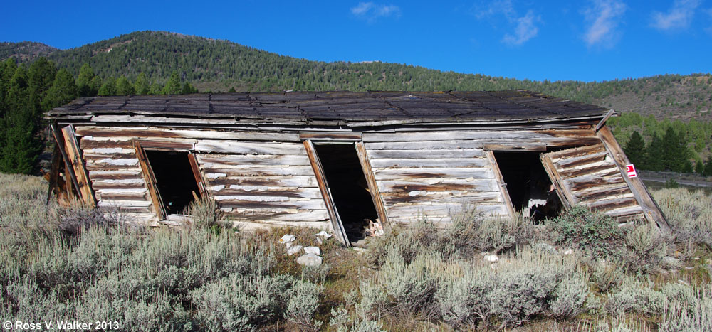 Leaning log cabin, Gilmore, Idaho.