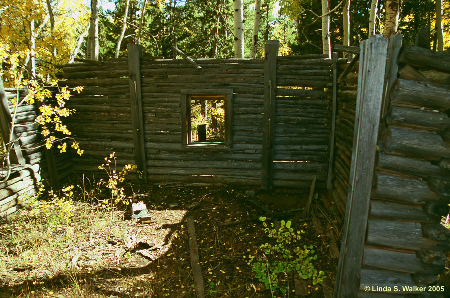 Cabin walls, Miner's Delight, Wyoming