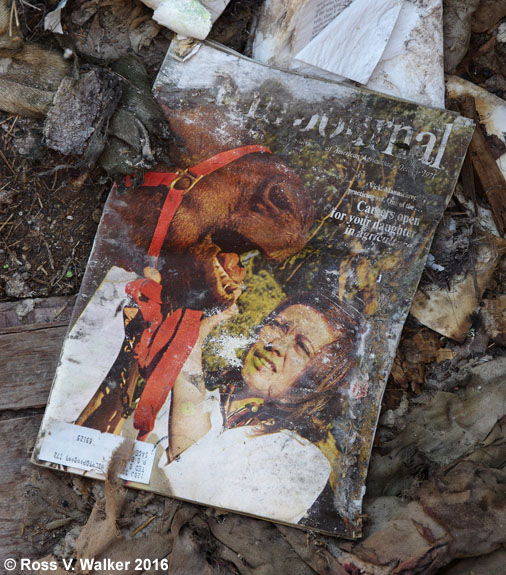 Decaying Farm Journal magazine at Sage, Wyoming