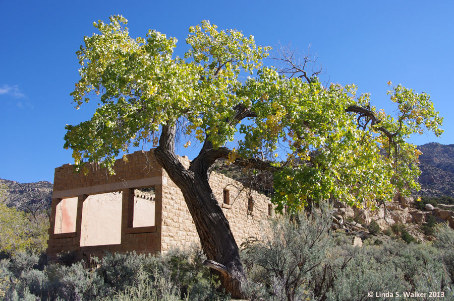 Store ruins, Sego, Utah