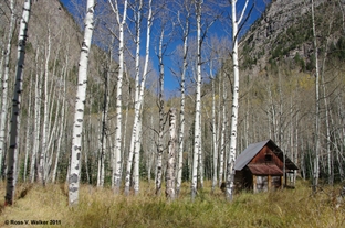 Crystal, Colorado cabin