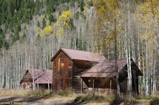 Crystal, Colorado houses