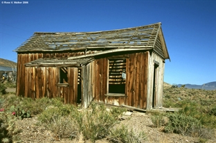 Gold Point cabin