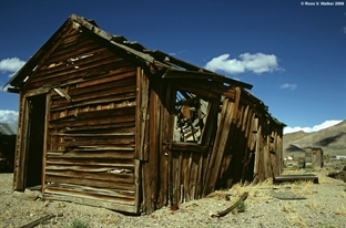 Gold Point shack