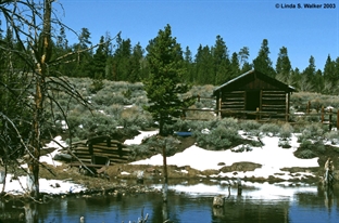 Miner's Delight pond, Wyoming