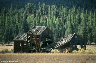 Sawmill, Whitney, Oregon