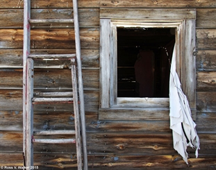 Window, Sage, Wyoming