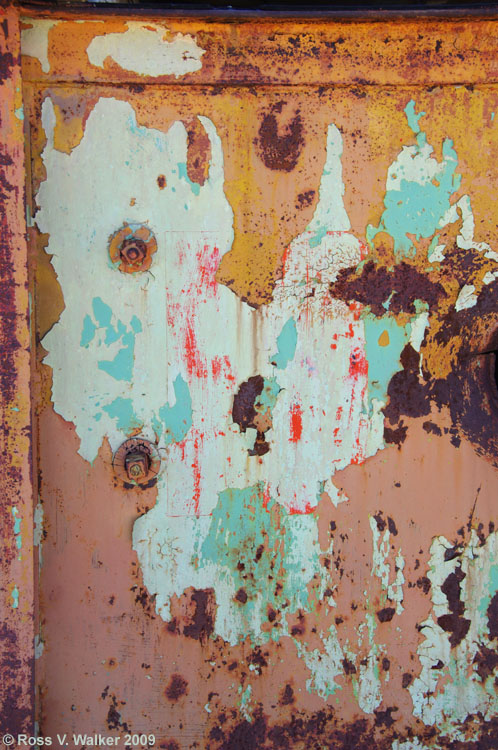 Peeling paint at the Darlington Mine, White Knob Mountain, Idaho