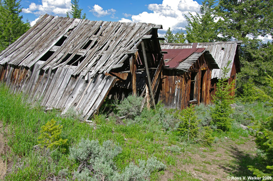 Taylor sawmill, White Knob Mountain, Idaho