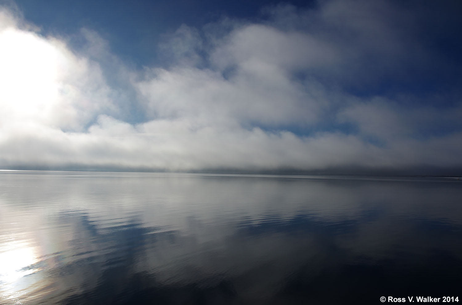 Bear Lake Monster information