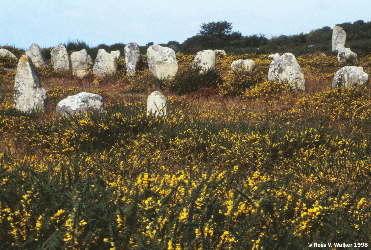 Menhirs, Carnac, France