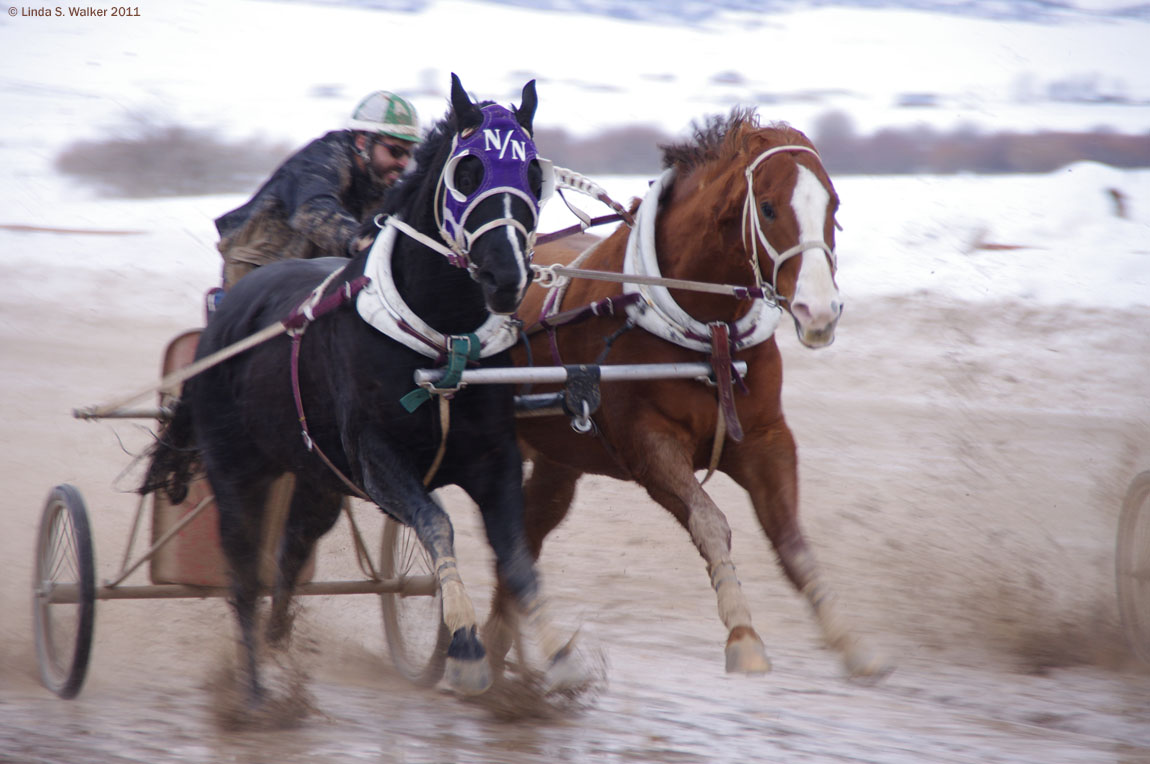 Chariot race, Afton, Wyoming
