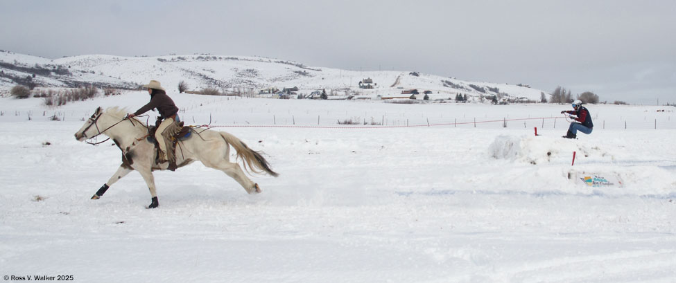 I can imagine a few bored guys sitting in a bar on a cold, stormy winter night, and one of them says "I wonder how fast we could ski if we are pulled by a horse".  And maybe that's how skijoring started?
This event took place in Garden City, Utah today.  The object is to ski the length of an obstacle course faster than anyone else, pulled by a horse.  There are gates to go through like a slalom, three jumps on both sides of the course, and three rings that have to be snatched off poles.  The skier uses the rope to help steer across the course to obstacles on each side, and the horse and rider just have to go straight as fast as they can.  What a sight!
