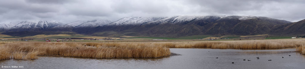 A spring snowstorm adds snow to the Preuss Range, Montpelier, Idaho