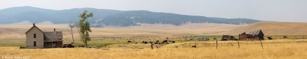 Abandoned ranch panorama, Avon, Montana
