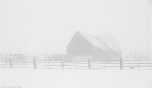 Barn in fog