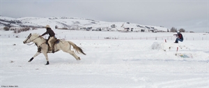 Skijoring