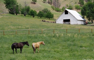 Idaho horses and barn