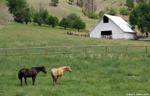Idaho horses and barn