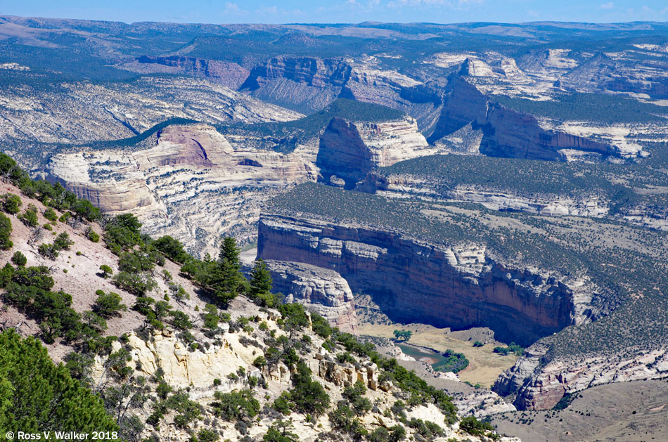 Confluence of Green and Yampa Rivers, Dinosaur National Monument, Colorado