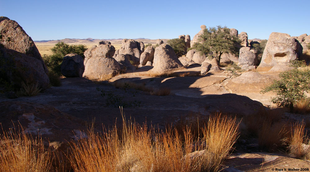 Eroded volcanic pinnacles at City of Rocks State Park, New Mexico