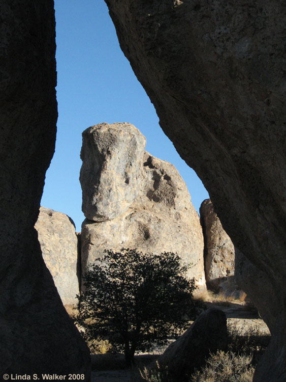 Monolith and tree silhouette through a rock slot, City of Rocks State Park, New Mexico