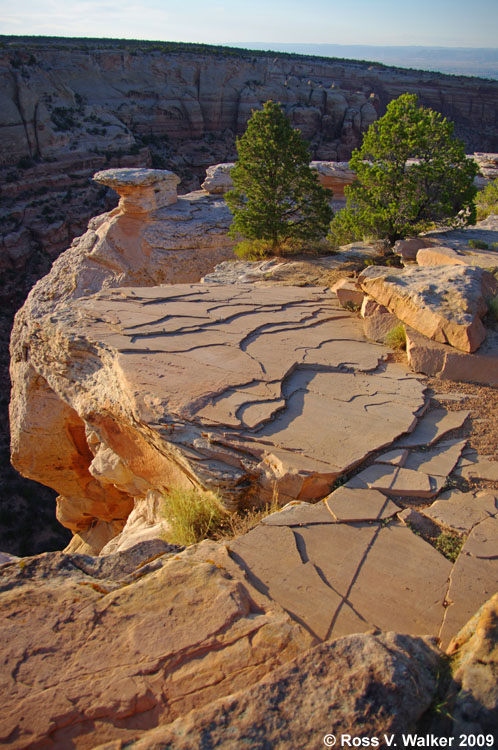 Cold Shivers Point, Colorado National Monument, Colorado