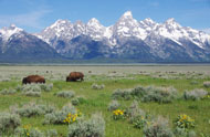 Grand Teton National Park Wyoming scenic photography