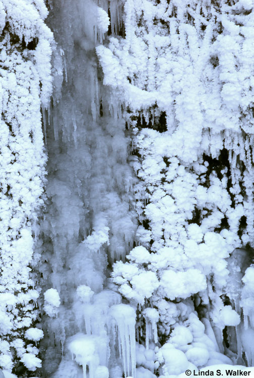 Winter Textures, Pine Creek, Wyoming
